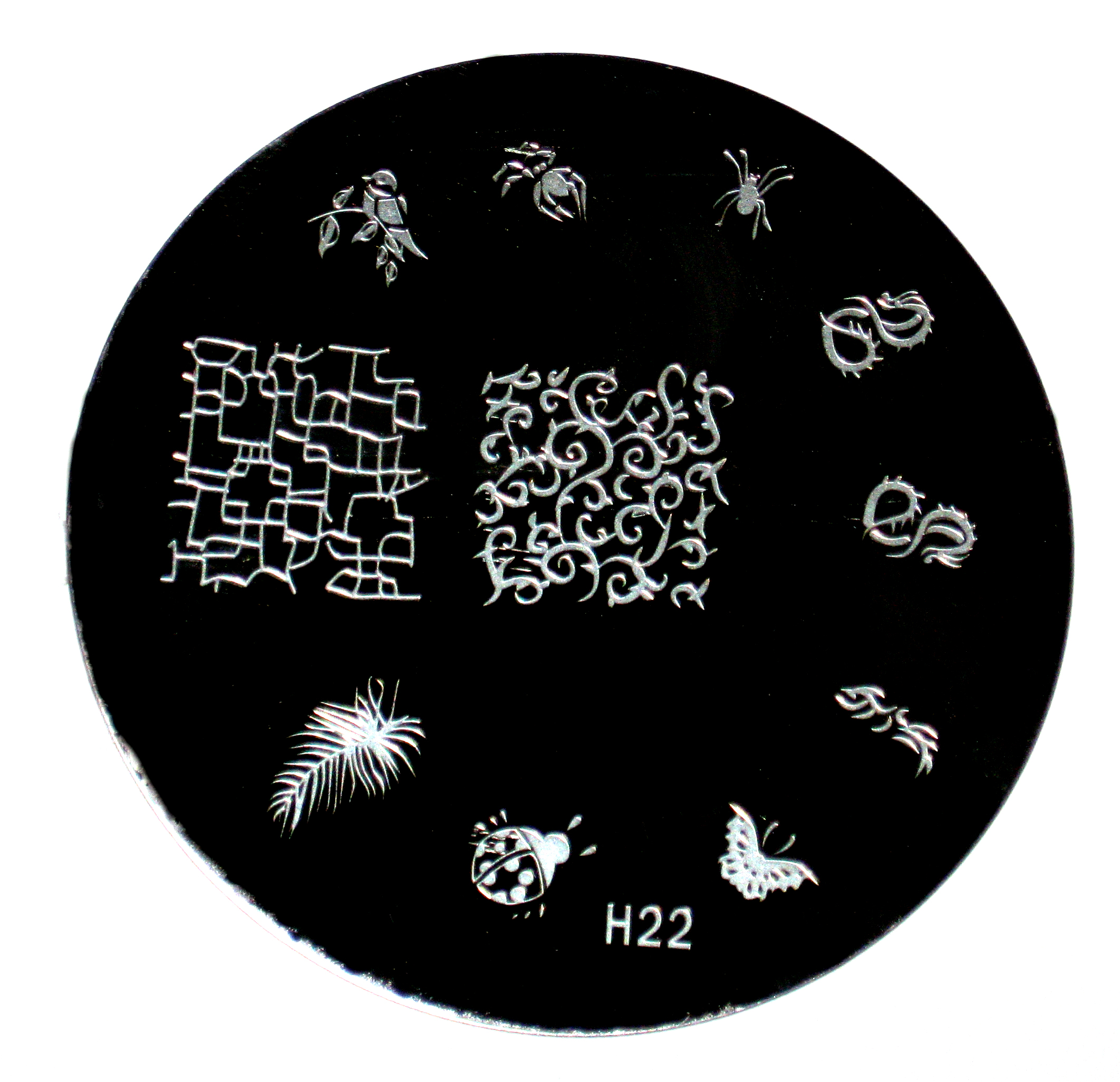 H22
